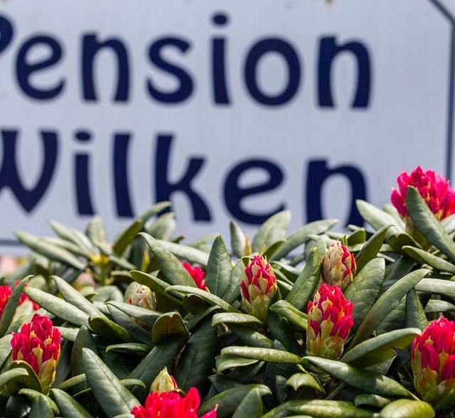 Pension Wilken Bad Zwischenahn 